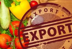 Україні не варто відмовлятися від експорту продуктів харчування