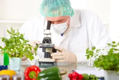 В Україні не перевіряють якість імпортних продуктів до надходження в магазини