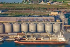 Складено рейтинг найбільших агроекспортерів України