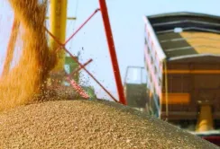У минулому році 70% загального експорту України склала аграрна продукція, – Денис Марчук