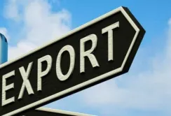 Експорт зернових та олійних культур у липні збільшився до 3 млн тонн