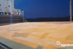 У 2024 році Група АГРОТРЕЙД експортувала понад 450 тисяч тонн зерна