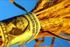 Україна експортує 80% вирощеної агропродукції, — експерт