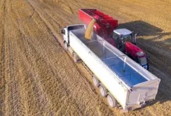 У вересні Україна експортувала 4,2 млн т агропродукції