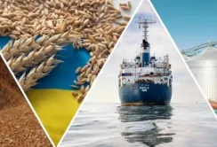 Україна розробила декілька альтернатив зерновому коридору