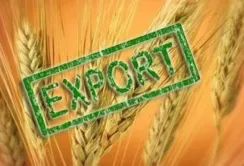 За червень Україна експортувала 5,3 млн т агропродукції