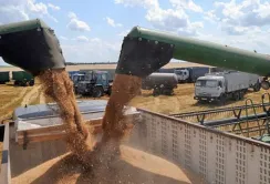 Фермерам доводиться самостійно експортувати свою продукцію