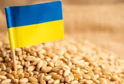 Агропродукція складає 59% від загального експорту