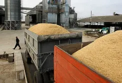 Експорт агропродукції автомобільним і залізничним транспортом у серпні знизився