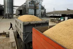 Експорт агропродукції автомобільним транспортом у жовтні зріс на 17%