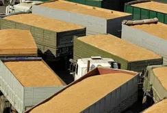 Експорт агропродукції автотранспортом знижується на всіх напрямках, крім Польщі, – аналітики
