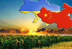 Україна планує розширити експорт агропродукції до Китаю