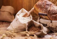Частка експорту продукції з доданою вартістю зростає, – заступник міністра