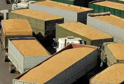 Експорт агропродукції зменшився: аналіз логістики у листопаді