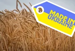 Експорт агропродукції в січні втримався на попередньому рівні