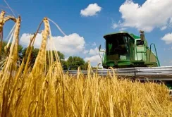 Україна зможе експортувати близько 60 мільйонів тонн агропродукції нового врожаю