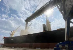 Експорт агропродукції зерновим коридором за минулий тиждень знову зменшився