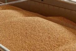 Україна створить коридор через Молдову та Румунію для експорту агропродукції