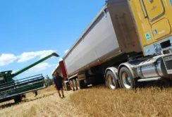 Олійні культури вигідно експортувати автомобільним транспортом, попри високу вартість таких перевезень