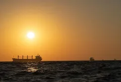 Без росії експорт Чорним морем працює ефективніше, – речник ВМС