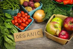 Експорт органічної продукції: Україна встановила черговий рекорд