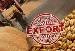 Через дії росіян світ щомісяця недоотримує мільйони тонн продовольства