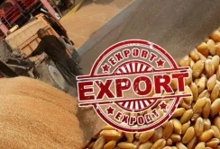 Через обмеження експорту продовольства українські фермери посіяли на 40% менше, ніж минулого року