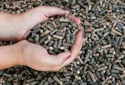 Ціни на соняшниковий шрот будуть падати, незважаючи на його дефіцит