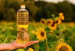 Україна у грудні експортувала рекордний обсяг соняшникової олії