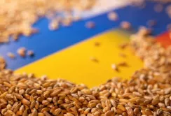 Україна пропонує розширити зернову угоду