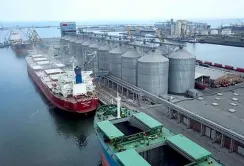 Через Румунію пройшло понад 1 млн т українського зерна