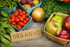 Експорт української органічної продукції в умовах війни