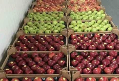 Експорт української плодоовочевої продукції до країн Близького Сходу під питанням