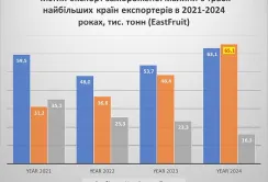 Україна стала світовим лідером з експорту замороженої малини