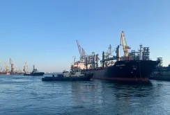 Зерновий ринок Причорномор'я: перевізники диктують свої умови
