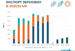 З початку війни Україна вивезла лише 7% річного обсягу експорту зернових