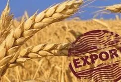 Україна в серпні відправила на експорт понад 1,5 млн т зерна