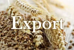 Україна у квітні вже експортувала 848 тис. тонн зернових та зернобобових