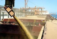 Новий маркетинговий рік Україна почала зі збільшення експорту зернових та зернобобових