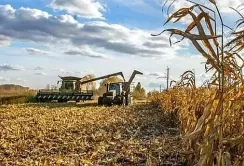 Ціна тонни експорту української агропродукції збільшується, - міністр