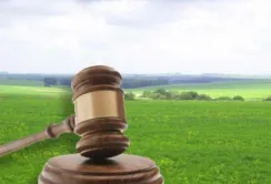 Завдяки електронним земельним аукціонам бюджети громад поповнились на 1 млрд грн
