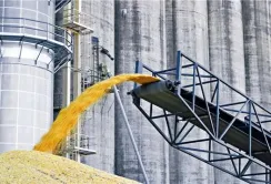 Кабмін прийняв рішення, яке допоможе експортерам зерна заощадити 15%