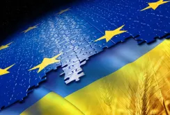 Українським агровиробникам розробили план виходу на ринки ЄС