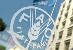FAO радить українським виробникам молочки розвивати збут