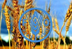 Мінагрополітики та аграрні асоціації незадоволені роботою ФАО