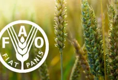 FAO проводить всесвітній сільськогосподарський перепис
