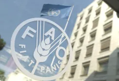 В Україні стартував проект FAO щодо протидії незаконному обігу хімречовин