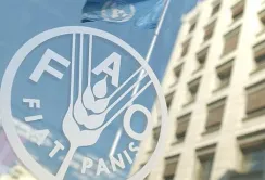ФАО шукає українських підрядників для закупівлі систем крапельного зрошення та засобів для дезінфекції