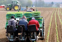 Фермери Франції отримують найбільший прибуток саме на орендованих землях, - Ж.-Ж.Ерве