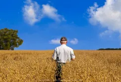 Недешеве задоволення: собівартість с/г продукції зростає